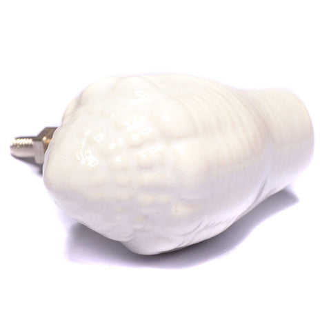 Ceramic conch pull