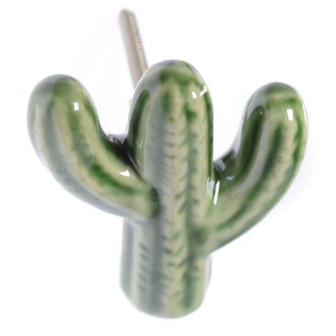 Ceramic cactus pull